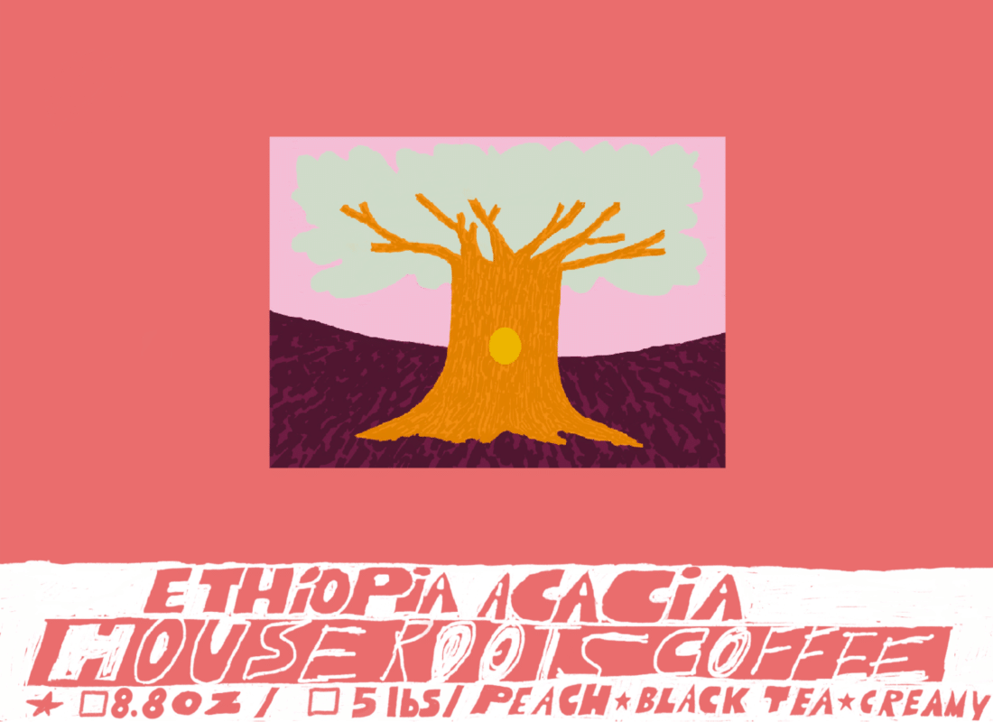 Ethiopia Acacia