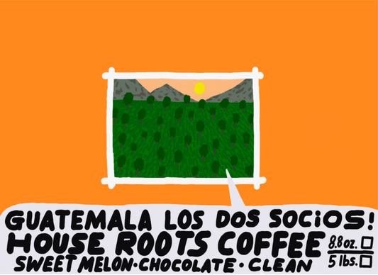 Guatemala Los Dos Socios
